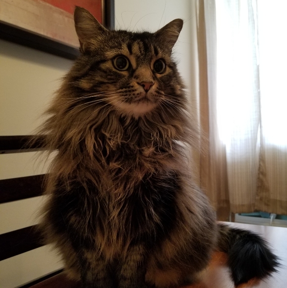 Meet the Posher Other - Meet your Posher, Jennie